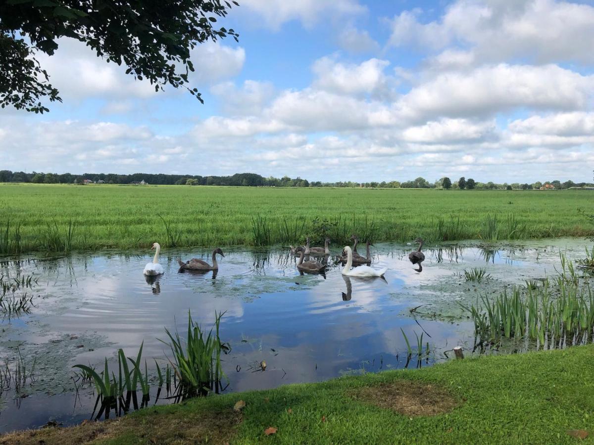 Prive In Een Bosrijke Omgeving Welkom Bij Gastenverblijf Het Ontsnapte Schaap In Jubbega Exterior photo