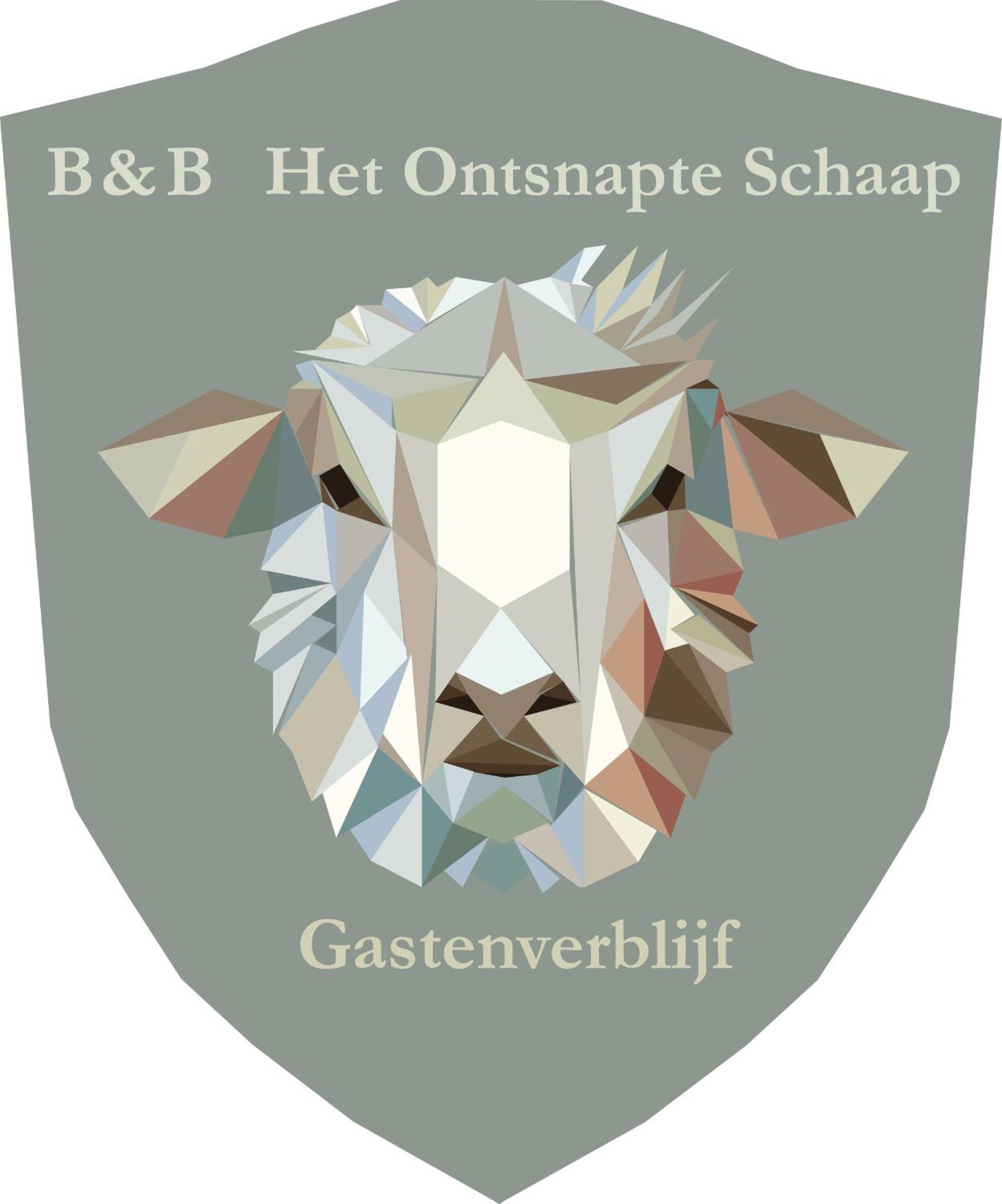 Prive In Een Bosrijke Omgeving Welkom Bij Gastenverblijf Het Ontsnapte Schaap In Jubbega Exterior photo